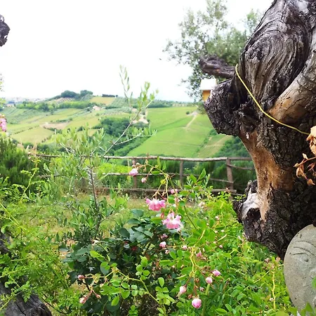Campoletizia Farm stay Miglianico