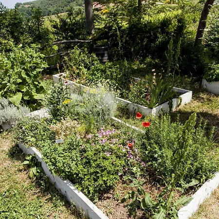 Campoletizia Farm stay Miglianico